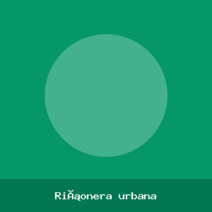 Riñonera urbana